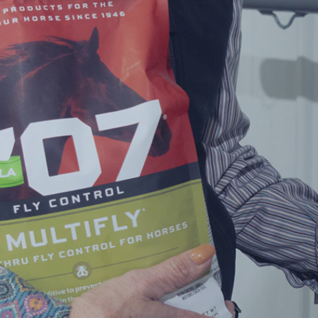 MultiFly® & Kelp by Formula 707®: The Smart, Natural Way to Protect and Power Your Herd