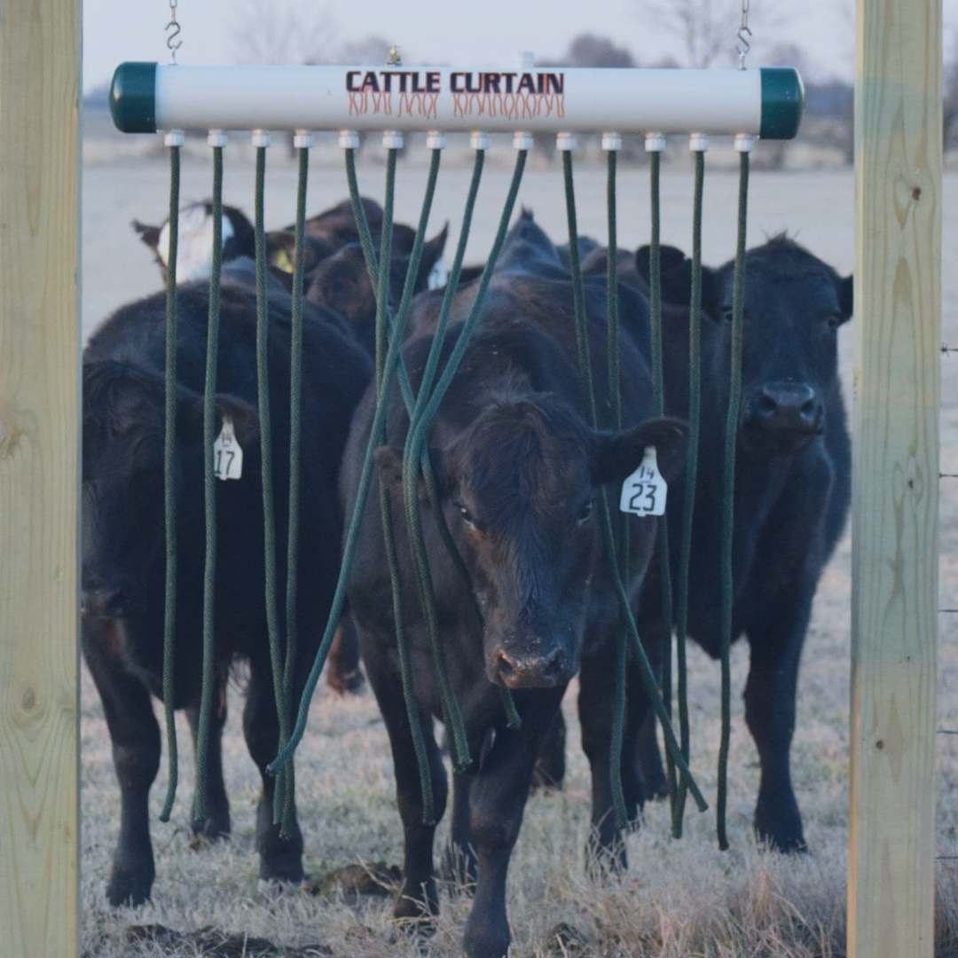 Cattle Curtains: The Smart Environmental Control That Transforms Comfort, Health & Performance