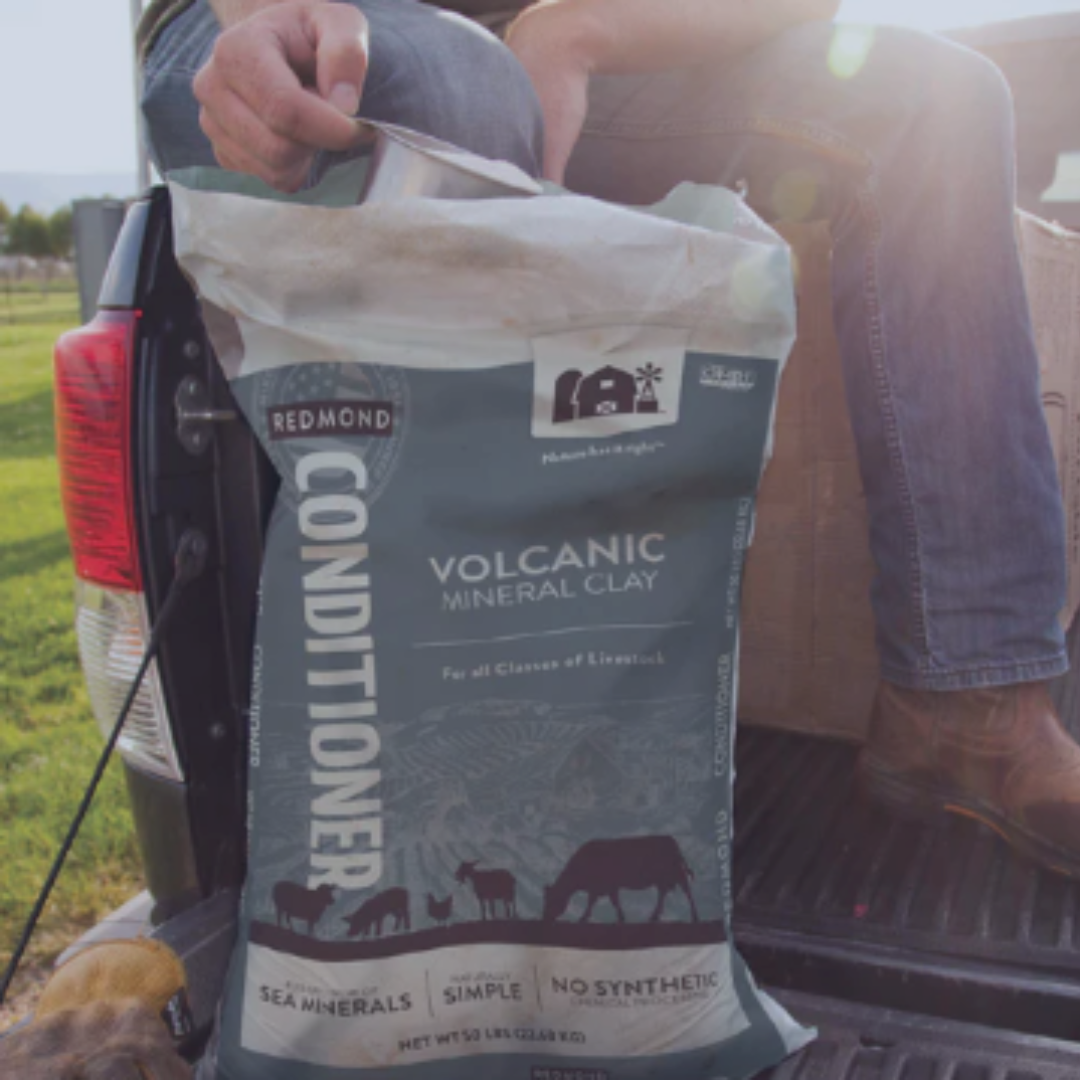Unlock Richer Herd Performance With Redmond Agriculture: Why Cedar Hill Cattle Company Recommends 10 Fine Garlic, Selenium 90 & Conditioner